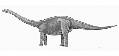 Amygdalodon- Dinosaurier