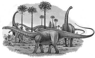Apatosaurus- Dinosaurier