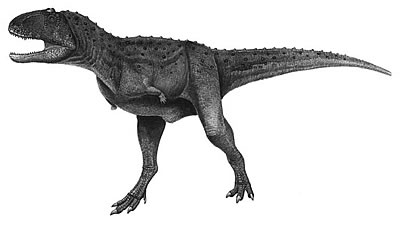 Aucasaurus- Dinosaurier