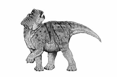 Bagaceratops- Dinosaurier