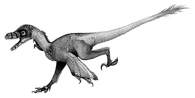 Bambiraptor- Dinosaurier