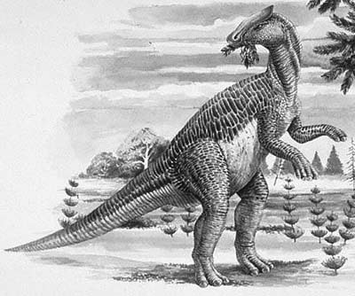 Brachylophosaurus- Dinosaurier