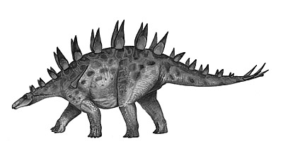 Chungkingosaurus- Dinosaurier