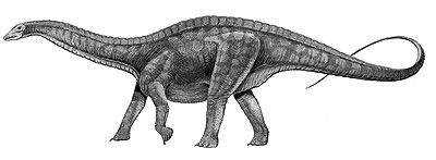 Dicraeosaurus- Dinosaurier