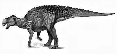 Gryposaurus- Dinosaurier