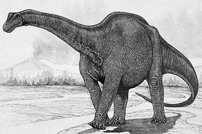 Haplocanthosaurus- Dinosaurier