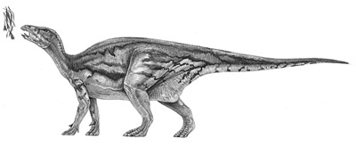 Jinzhousaurus- Dinosaurier