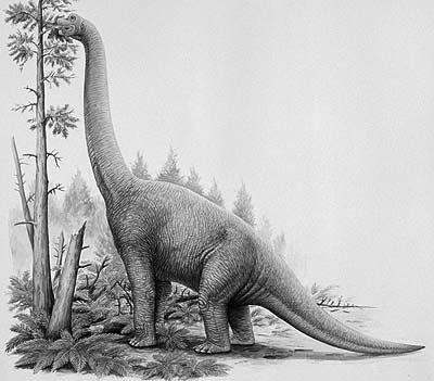 Lapparentosaurus- Dinosaurier