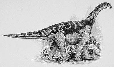 Opisthocoelicaudia- Dinosaurier