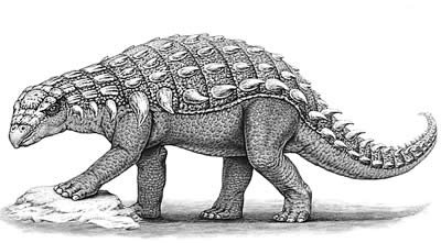 Panoplosaurus- Dinosaurier