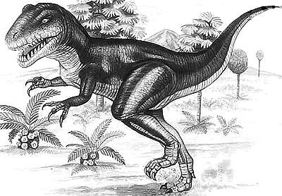 Afrovenator- Dinosaurier