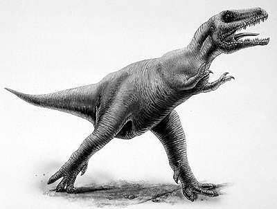 Albertosaurus- Dinosaurier