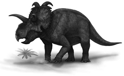 Albertaceratops- Dinosaurier