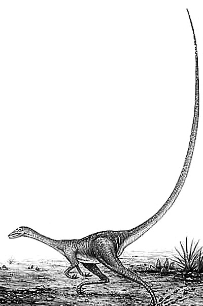 Alvarezsaurus- Dinosaurier