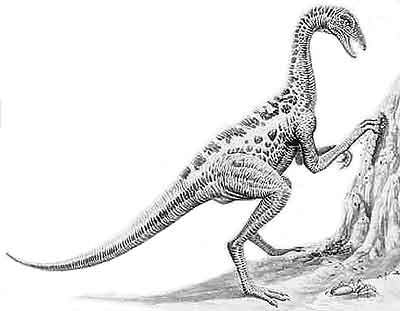 Anserimimus- Dinosaurier