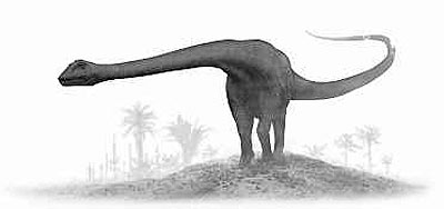 Barosaurus- Dinosaurier