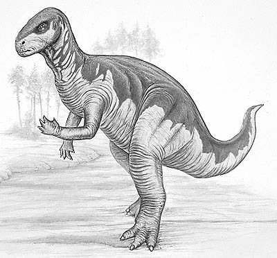 Camptosaurus- Dinosaurier