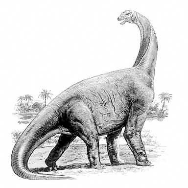 Cetiosauriscus- Dinosaurier