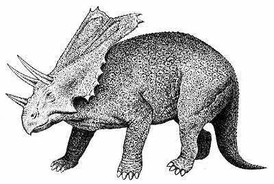 Chasmosaurus- Dinosaurier