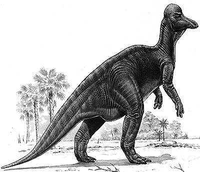 Corythosaurus- Dinosaurier