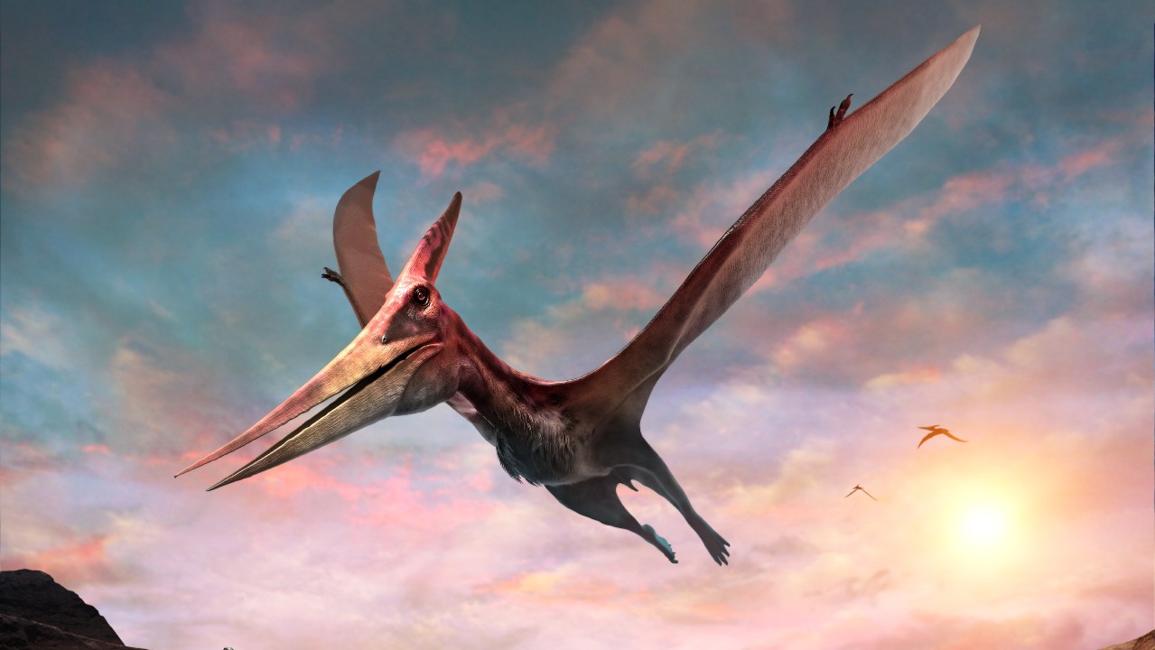 dinosaurier som flyger fåglar