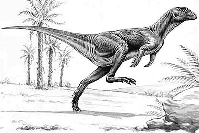 Heterodontosaurus- Dinosaurier