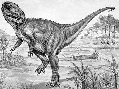 Megalosaurus- Dinosaurier
