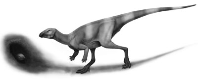 Oryctodromeus- Dinosaurier