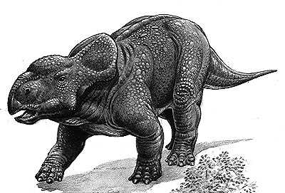 Pachyrhinosaurus- Dinosaurier