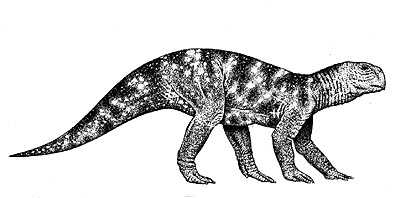 Psittacosaurus- Dinosaurier