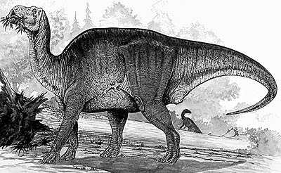 Shantungosaurus- Dinosaurier