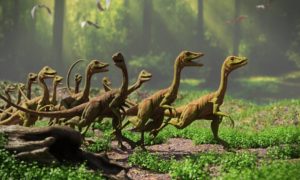 små dinosaurier